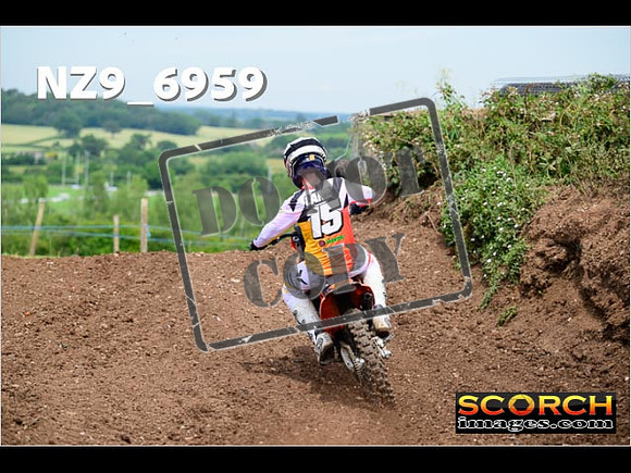 Experts-206