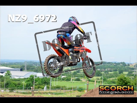Experts-219