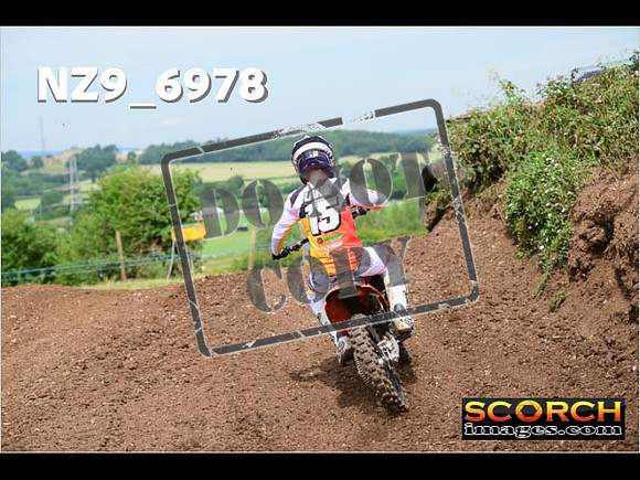 Experts-223