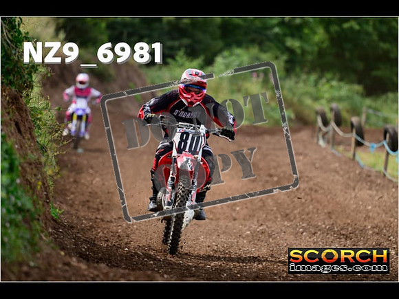 Experts-226