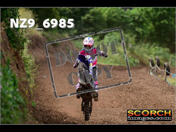 Experts-229