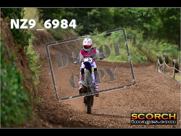 Experts-228