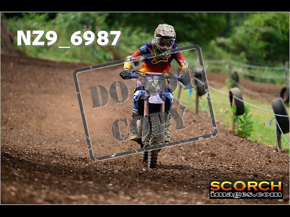 Experts-231