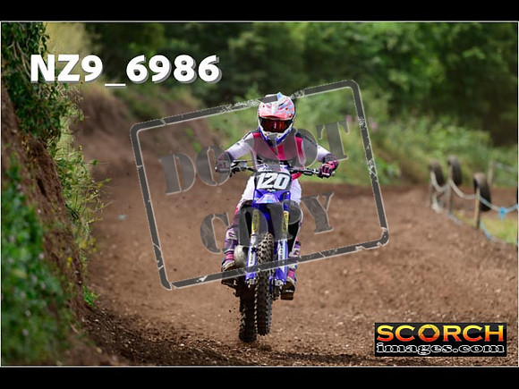 Experts-230