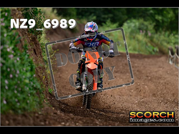 Experts-233