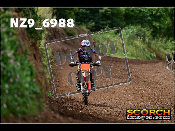Experts-232
