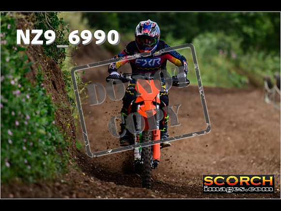 Experts-234