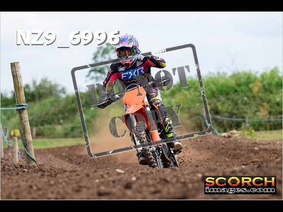Experts-239