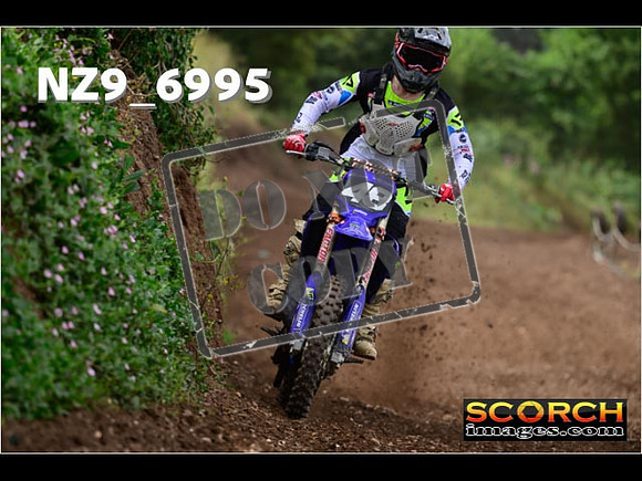Experts-238