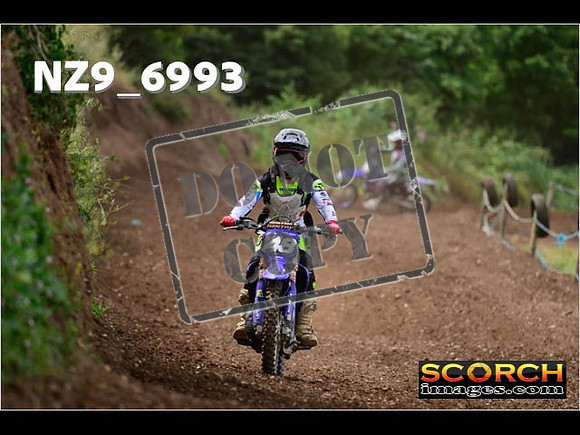 Experts-237