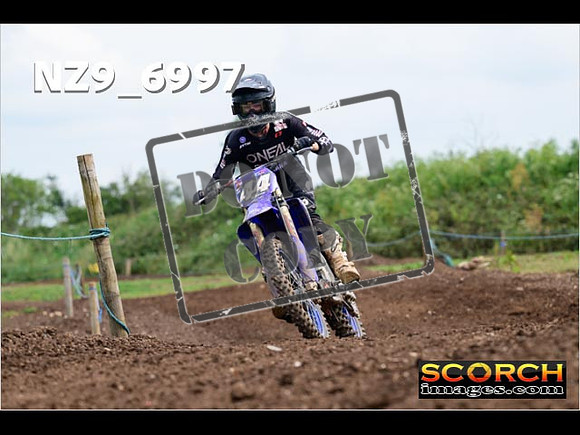 Experts-240