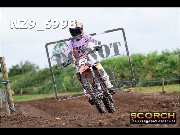 Experts-241