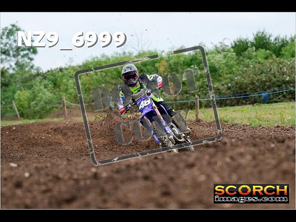 Experts-242