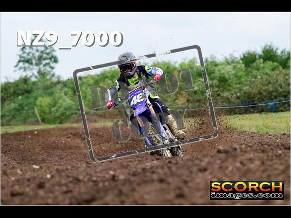 Experts-243