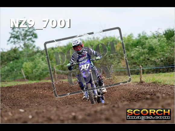 Experts-244