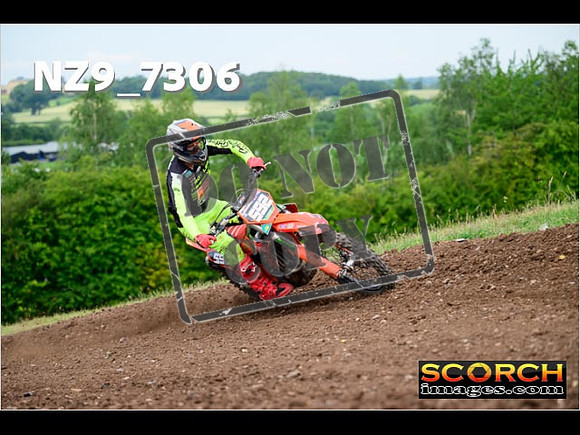 Experts-245