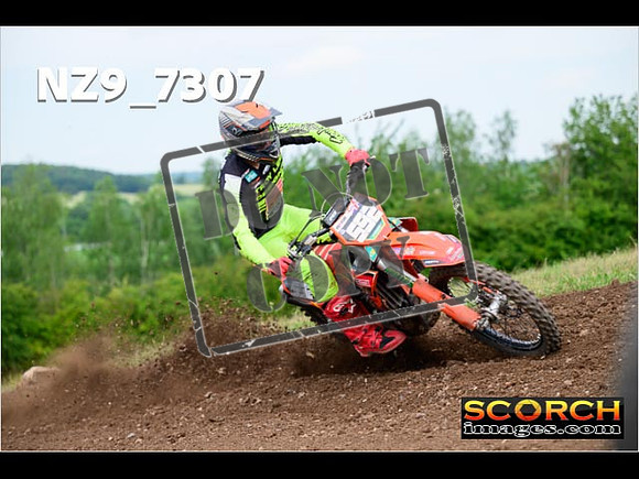 Experts-246