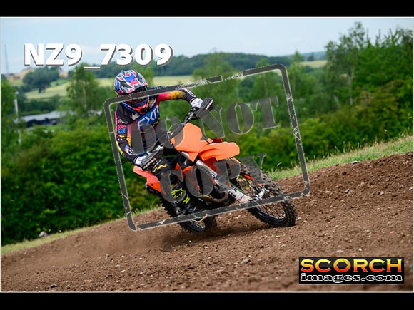 Experts-248