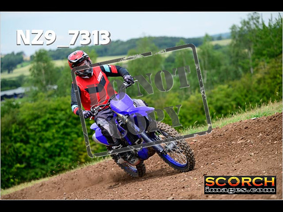 Experts-250