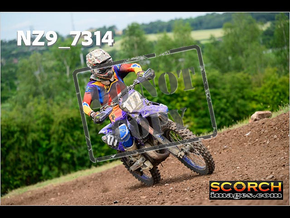 Experts-251