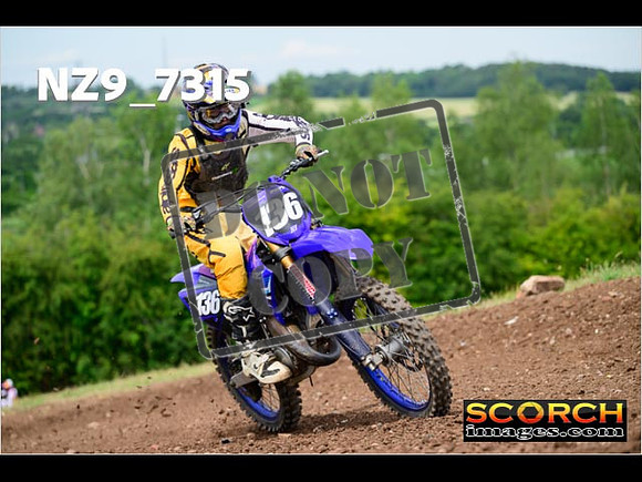 Experts-252