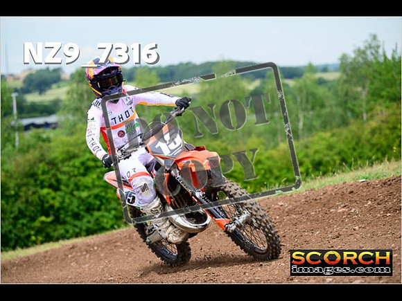 Experts-253