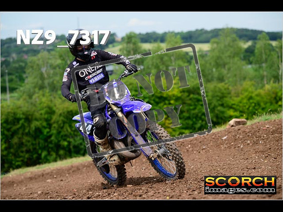 Experts-254