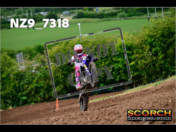 Experts-255