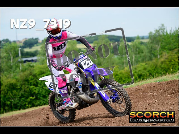 Experts-256