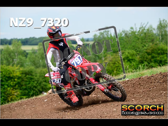 Experts-257