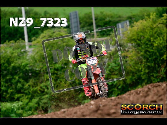 Experts-259
