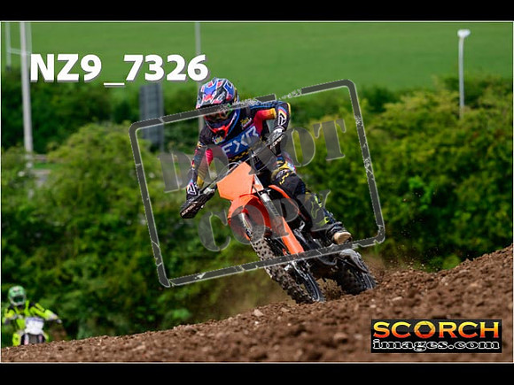 Experts-261