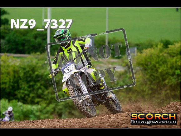 Experts-262