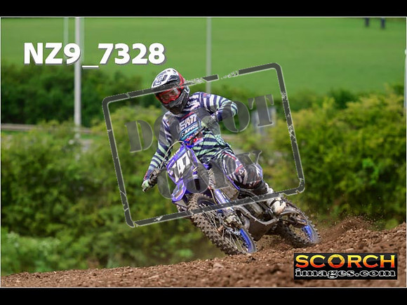 Experts-263