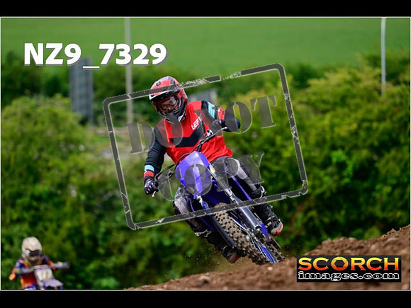 Experts-264