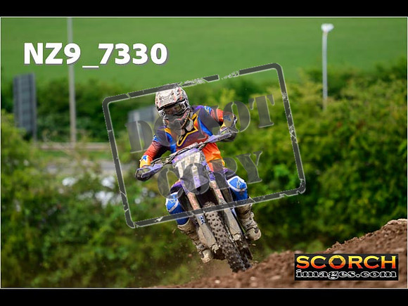 Experts-265