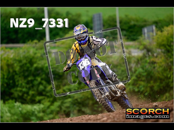 Experts-266