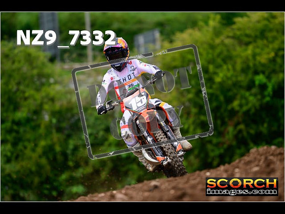 Experts-267