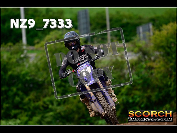 Experts-268