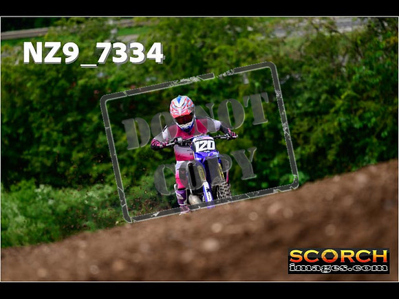 Experts-269