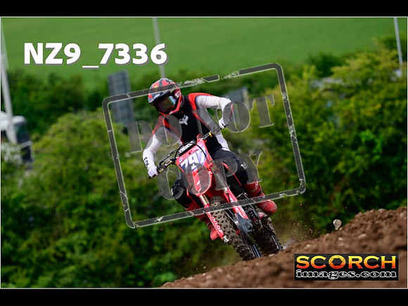 Experts-271
