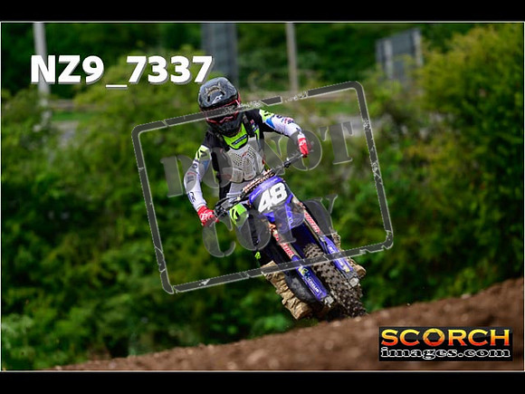 Experts-272