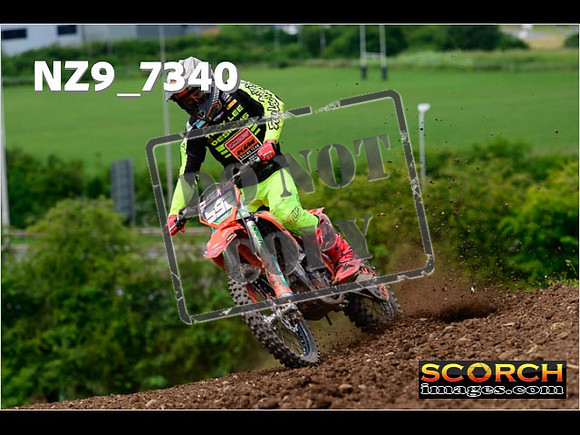 Experts-274