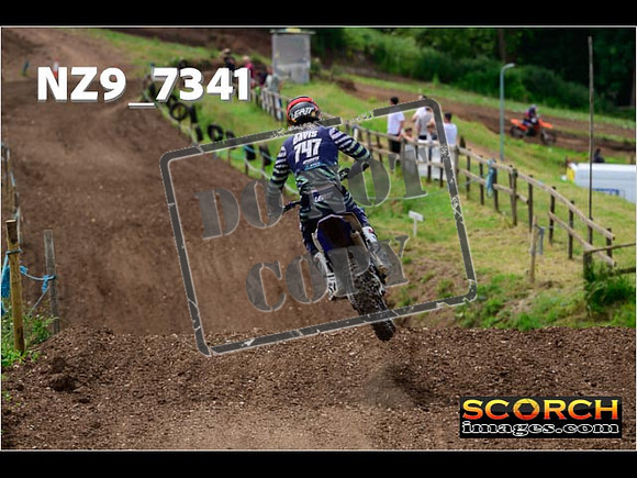 Experts-275