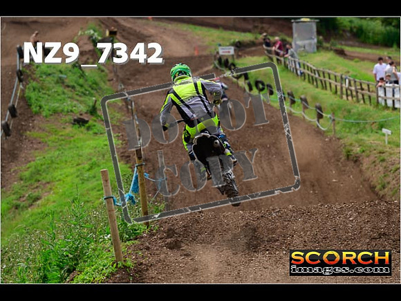 Experts-276