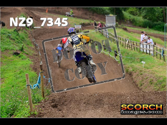 Experts-279