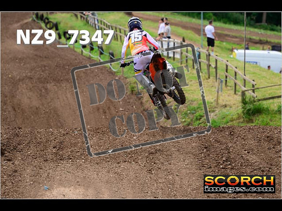 Experts-281