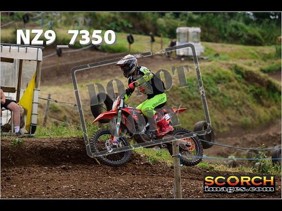 Experts-284