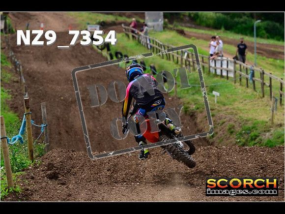 Experts-288