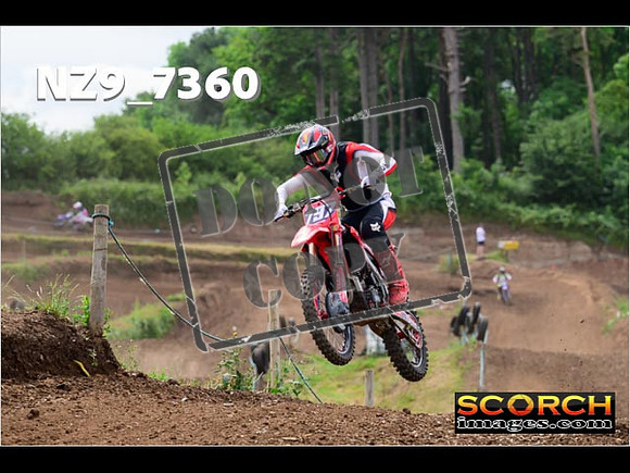 Experts-293